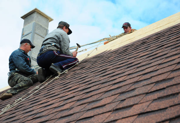 Best Roofing Contractor Near Me  in Oakland, NE