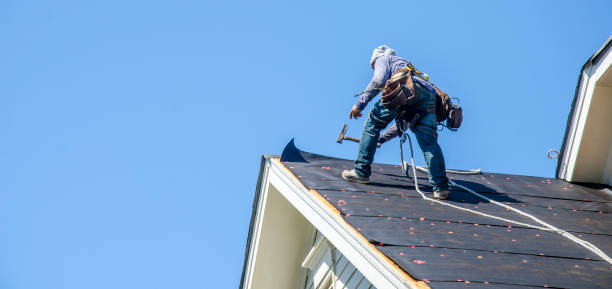 Best Metal Roofing Contractor  in Oakland, NE